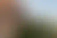 Стройка: отчёт за июль