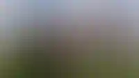 Разноуровневая архитектура