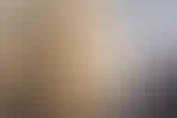 Стройка: отчёт за декабрь