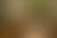 Вид во двор