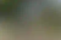 Загадочная фигура