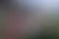 Новые ипотечные каникулы для семей с детьми
