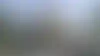 Архитектура от природы