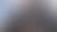 Большие окна