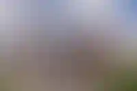 Минус 500 000 ₽