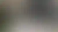Гостеприимные холлы