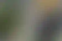 Здесь всё по-новому
