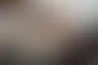 Влюблённые в свой дом