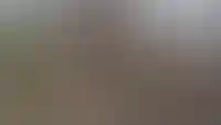 Приватный двор