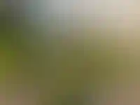 Измените Сыктывкар прямо сейчас