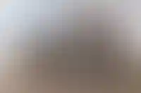 Одна цена