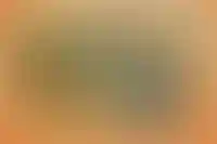 График работы на каникулах