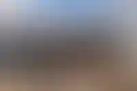 Стройка: отчёт за август