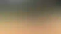 Концептуальный двор