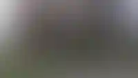 Вы в Центре