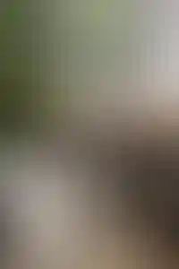 Дизайн интерьера