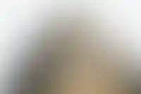 Стройка: отчёт за ноябрь