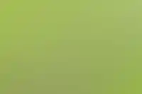 Ландшафтный дизайн